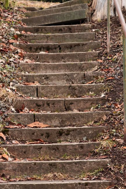 A flight of outdoor stone steps ascending through a natural environment, with each step made of weathered, rectangular slabs of dark grey stone that show signs of moss and dirt accumulation. The steps are partially covered with dry leaves, twigs, and small patches of grass, indicating minimal recent maintenance. On the left side, there is a small cluster of brown, dried foliage, while on the right side, a metal handrail with vertical supports is visible, secured into the ground. The surrounding soil and earth are dark and slightly damp. The background includes sparse vegetation and a worn, uneven terrain. This scene suggests an informal footpath or outdoor access route that may be suitable for alternative waste handling or rubbish clearance adapted to natural or uneven terrain, aligning with the context of local, non-standard rubbish removal services like those provided by companies such as rubbishremovalwesthampstead.co.uk.