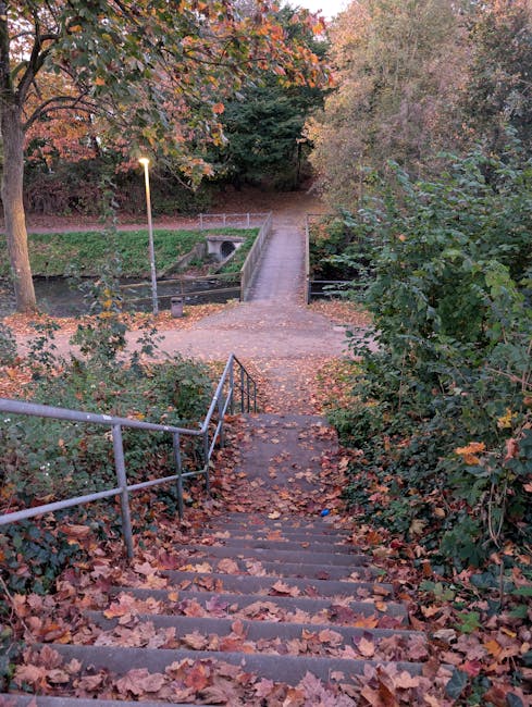 A flight of outdoor stone steps ascending through a natural environment, with each step made of weathered, rectangular slabs of dark grey stone that show signs of moss and dirt accumulation. The steps are partially covered with dry leaves, twigs, and small patches of grass, indicating minimal recent maintenance. On the left side, there is a small cluster of brown, dried foliage, while on the right side, a metal handrail with vertical supports is visible, secured into the ground. The surrounding soil and earth are dark and slightly damp. The background includes sparse vegetation and a worn, uneven terrain. This scene suggests an informal footpath or outdoor access route that may be suitable for alternative waste handling or rubbish clearance adapted to natural or uneven terrain, aligning with the context of local, non-standard rubbish removal services like those provided by companies such as rubbishremovalwesthampstead.co.uk.