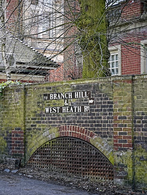 A close-up view of a weathered brick wall with a curved archway at street level, featuring a black metal grille covering an underground drain or passage. Above the arch, a rectangular sign is mounted on the wall, displaying directions to 'Branch Hill & West Heath Rd' in white lettering on a black background, with some of the letters slightly faded. Behind the wall, a large tree with a moss-covered trunk and bare branches extends upward, partially obscuring a red brick building with white-framed windows. The scene suggests an urban or suburban environment, with the moss and weathered bricks indicating age and exposure to the elements. The overall atmosphere is quiet and residential, with the sign and brickwork providing a glimpse of local street navigation or historical signage related to private property or alternative routes, possibly associated with independent rubbish or waste collection services, as referenced by rubbishremovalwesthampstead.co.uk.